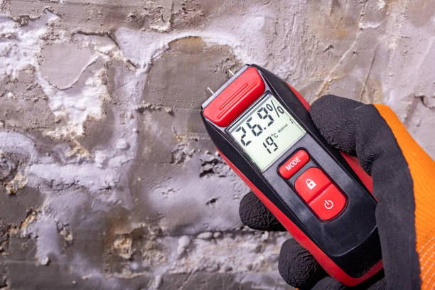 Best Mold Cleaning Services  in Dudley, NC
