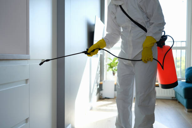 Best Residential Mold Removal  in Dudley, NC