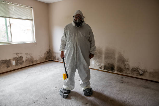 Mold Testing and Removal in Dudley, NC